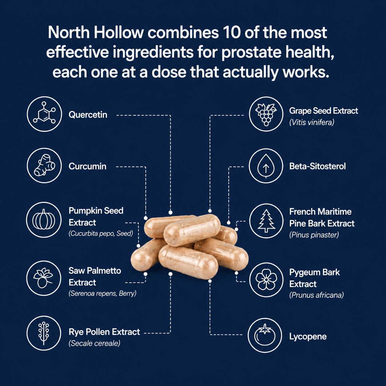 North Hollow